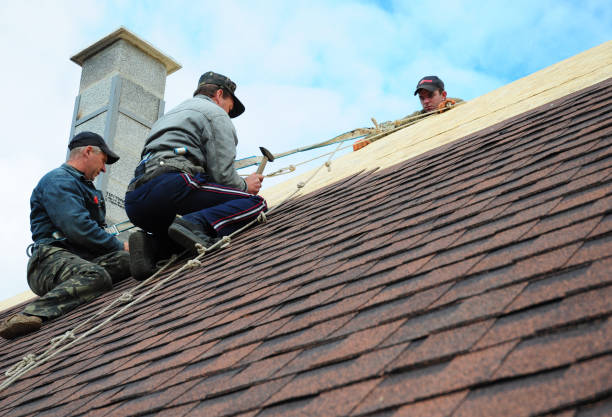 Quick and Trustworthy Emergency Roof Repair Services in Lansdowne, PA